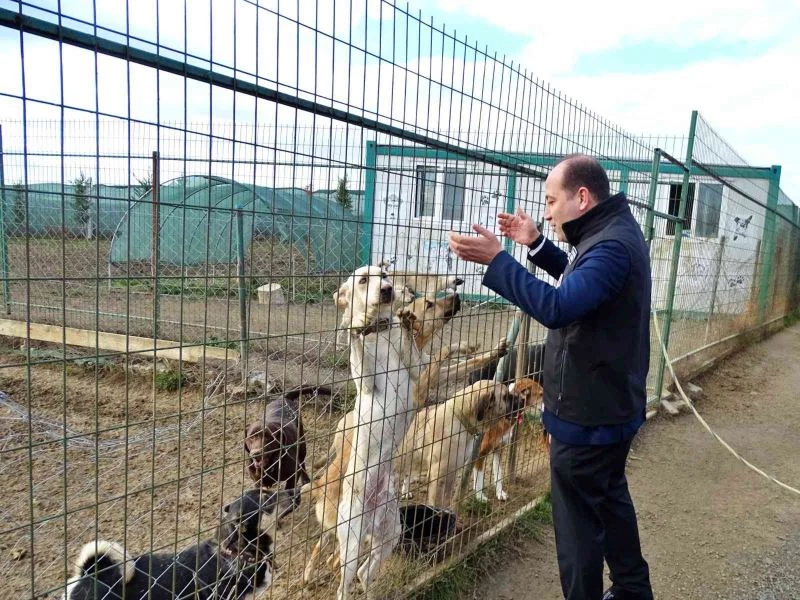 KÖPEK EĞİTİM VE PAPAĞAN ÜRETİM MERKEZLERİ RUHSATLANDIRILDI 