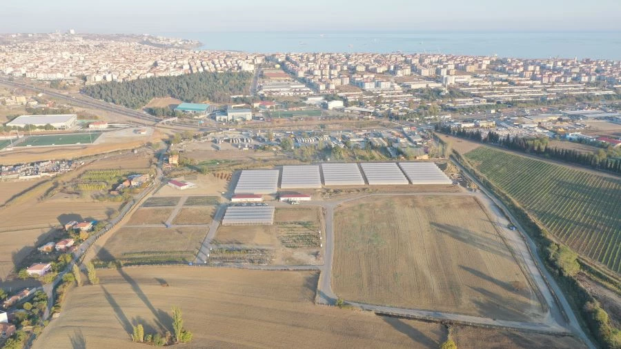 TEKİRDAĞ SERACILIĞINDA HEDEF İSTANBUL PAZARI