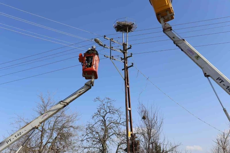 LEYLEKLER ZARAR GÖRMESİN DİYE ELEKTRİK TELLERİNE PLATFORM YAPILIYOR