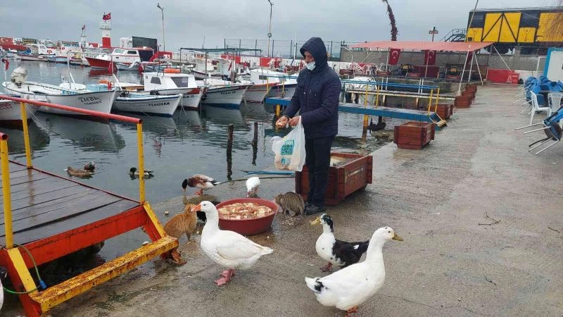 KARİDESİ SOĞUK VURDU