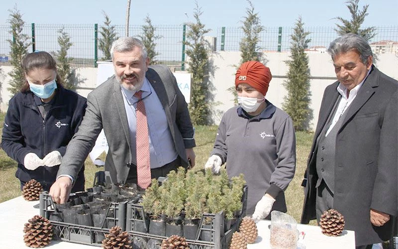 ÖZEL İŞÇİLER FISTIK ÇAMINI TOPRAKLA BULUŞTURDU