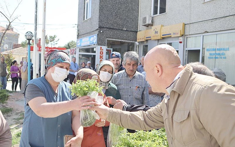 SARAY BELEDİYESİ BÜYÜKYONCALI’DA  ‘HALK FİDE’ DAĞITTI