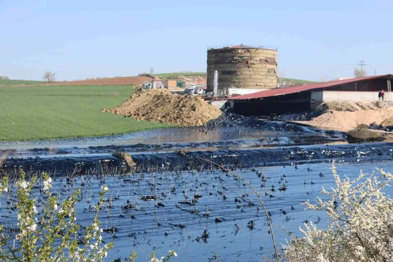 TONLARCA ZİFT TARIM ARAZİLERİNE YAYILIYOR