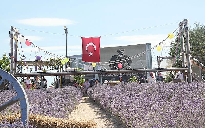 TEKİRDAĞ’DA LAVANTA TARLALARINA 1 MİLYON ZİYARETÇİ HEDEFLENİYOR