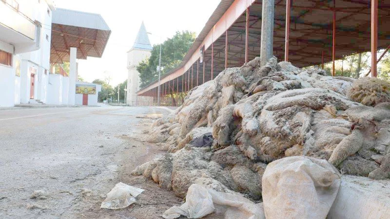 KURBAN DERİLERİ KIRKPINAR ER MEYDANI’NDA KOKMAYA BAŞLADI