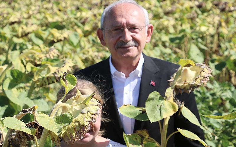 KILIÇDAROĞLU: AYÇİÇEĞİ TON BAŞINA 16 BİN LİRA OLMALI