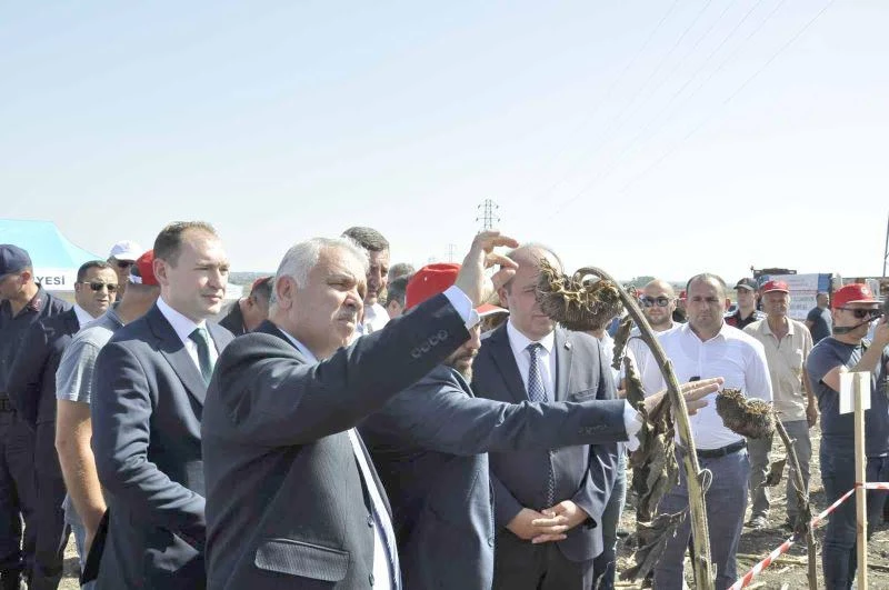 Saray’da Tarla Günü etkinliği