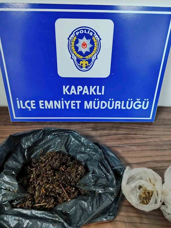 KAPAKLI’DA ŞÜPHELİ ŞAHSIN ÜZERİNDEN BONZAİ ÇIKTI