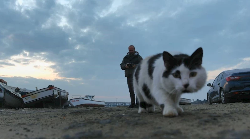 KEDİNİN DRONLA OYUNU, DEFALARCA PATİ ATTI