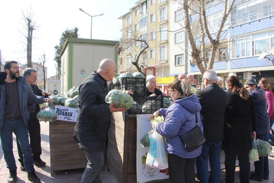 SARAY BELEDİYESİ’NDEN ÜCRETSİZ ISPANAK VE LAHANA