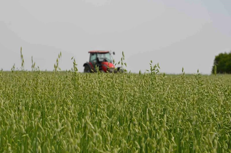 SARAY’DA ’TARLA GÜNÜ’ DÜZENLENDİ