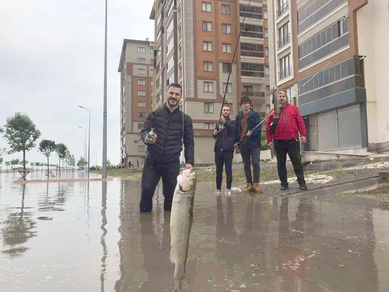 GÖLE DÖNEN YOLDA BALIK TUTTULAR