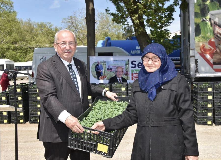 MALKARA VE HAYRABOLU İLÇELERİNDE ÜRETİCİYE DOMATES FİDESİ DESTEĞİ