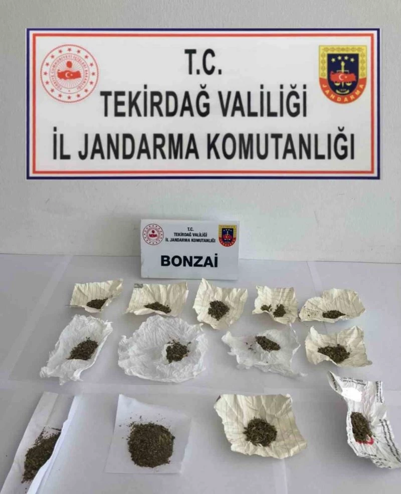 TEKİRDAĞ’DA 23 KİŞİ UYUŞTURUCUDAN YAKALANDI