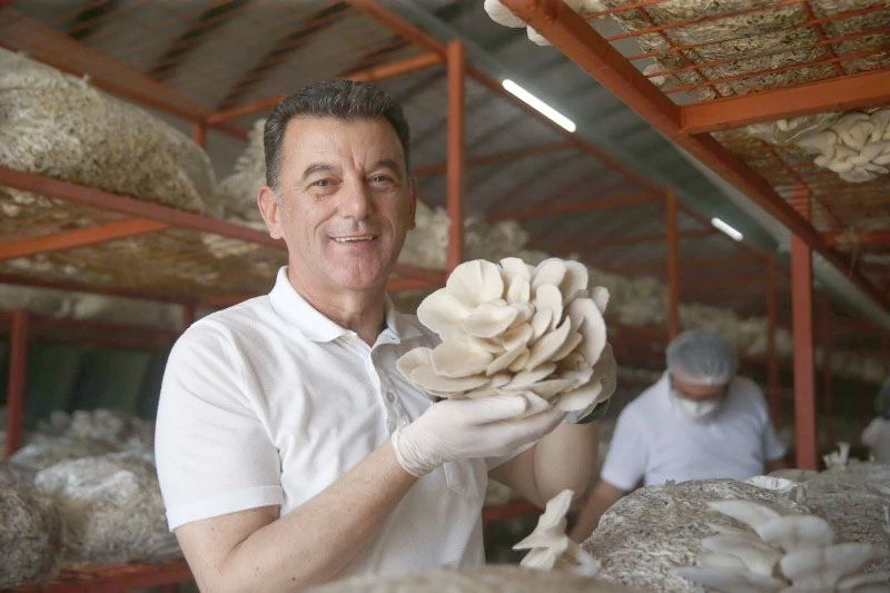 KAPAKLI’DA MANTAR ÜRETİM TESİSİNDE İLK HASAT YAPILDI