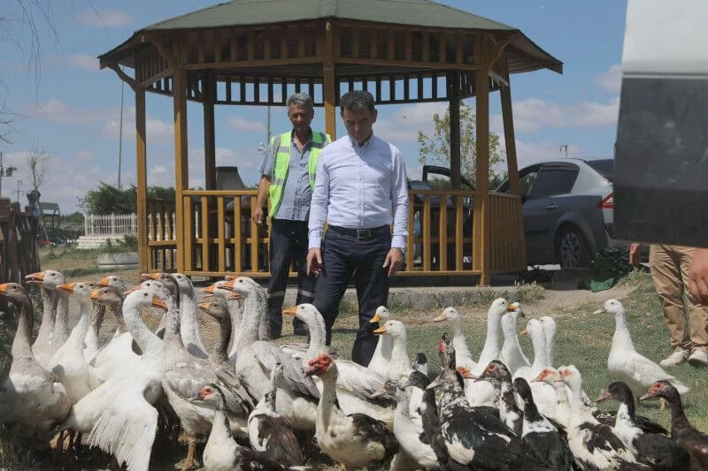 KAZAK GÖLÜ’NDE DOĞAL YAŞAM ZENGİNLEŞTİRİLİYOR