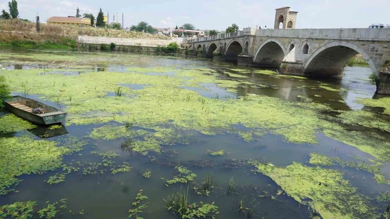 EDİRNE’DE TUNCA NEHRİ PLASTİK ATIKLAR VE ÇÖPLERLE KAPLANDI