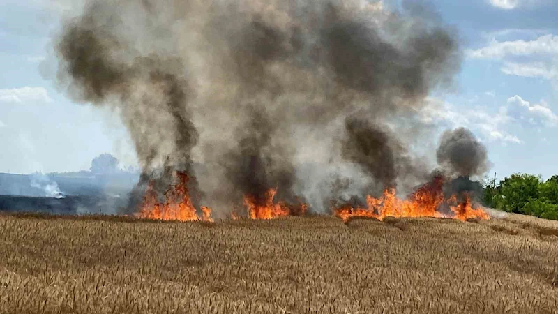 TRAKYA’DA BU YAZ 126 HEKTAR ORMANLIK ALAN YANDI