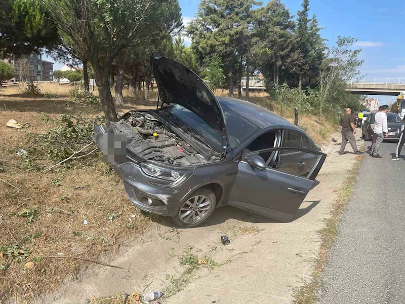 YOLDAN ÇIKAN OTOMOBİL AĞAÇLIK ALANA DALDI