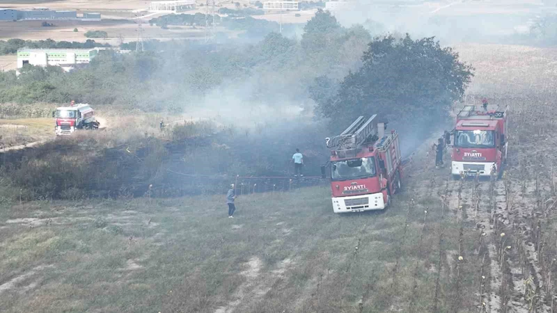 ÇERKEZKÖY’DE KORKUTAN ORMAN YANGINI: YÜKSEK GERİLİM HATTI ZARAR GÖRDÜ