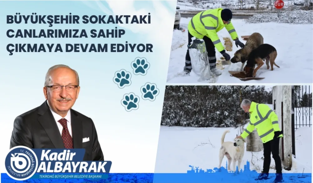 TEKİRDAĞ BÜYÜKŞEHİR BELEDİYESİ SOKAKTAKİ CANLARIMIZA SAHİP ÇIKAMAYA DEVAM EDİYOR