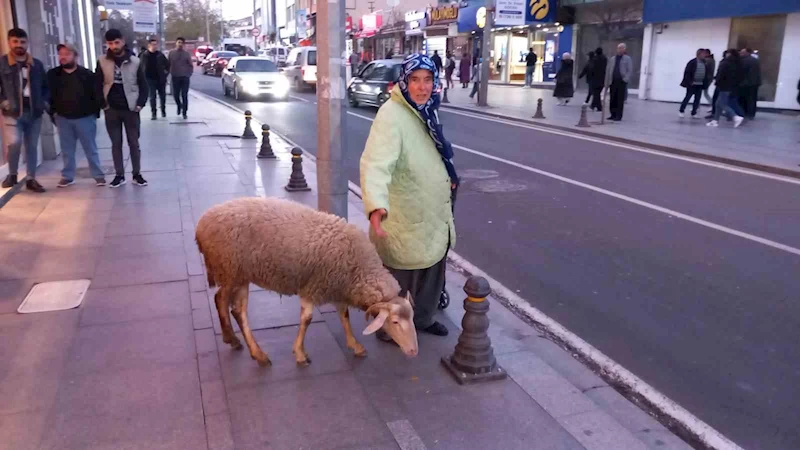 CİNAYETTEN ARANIRKEN UYUŞTURUCU İLE YAKALANDI