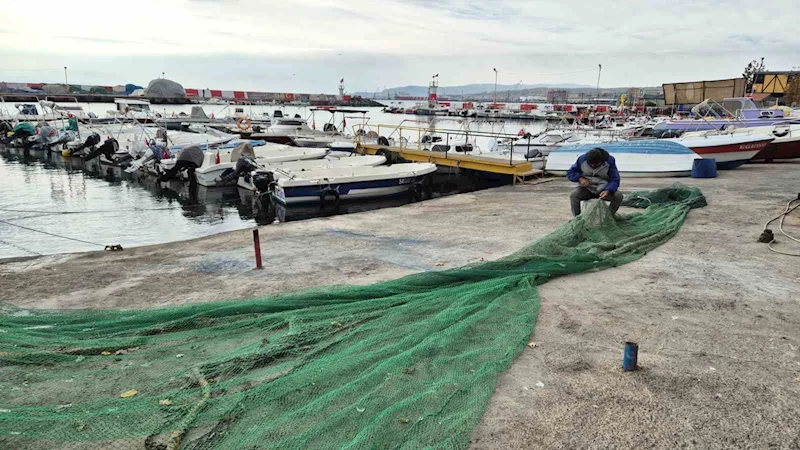 KARADENİZ’DEN UMUTLU HABER GELDİ: BALIKÇILAR BAYRAM EDECEK