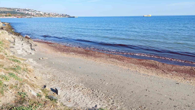 TEKİRDAĞ’DA KIYI KIZILA BOYANDI