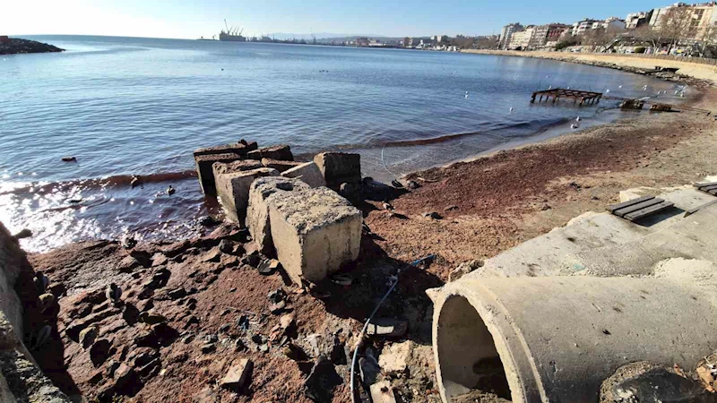 MARMARA DENİZİ’NDE LODOS SONRASI KIYILARA KIZIL YOSUN VURDU