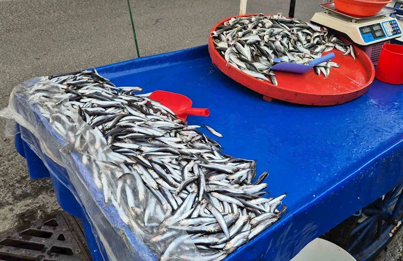 TEKİRDAĞ’DA HAMSİ 150 LİRA, İSTAVRİT 100 LİRA