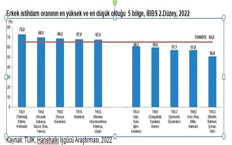 İSTATİSTİKLERE GÖRE TEKİRDAĞ KADIN NÜFUSU