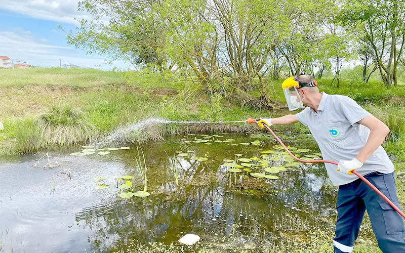 BÜYÜKŞEHİR’DEN SARAY’DA LARVA İLAÇLAMASI