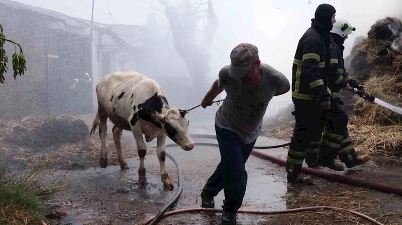 HAYVANLARI KURTARMAK İÇİN CANI PAHASINA ALEVLERİN ORTASINA GİRDİ