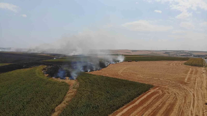 ÇORLU’DA ANIZ YANGINI 500 DÖNÜM YANDI: YANGIN SÜRÜYOR