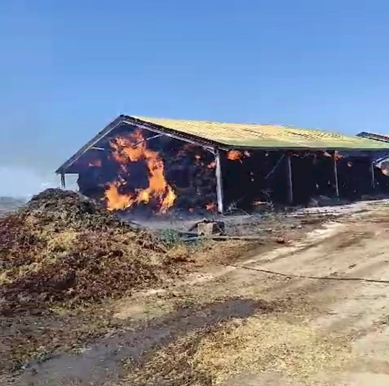 HAYVAN ÇİFTLİĞİNDEKİ SAMAN YANGINI KORKUTTU