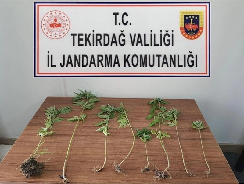 TEKİRDAĞ’DA UYUŞTURUCU OPERASYONLARI: 8 KİŞİ YAKALANDI