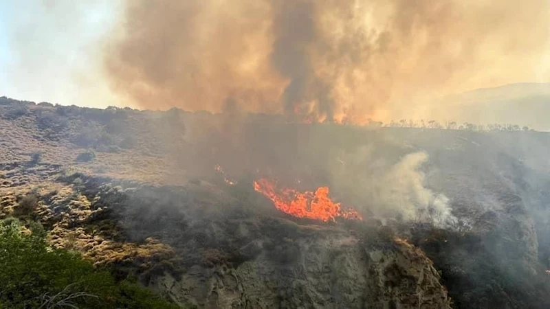 ŞARKÖY’DE OTLUK ALANDA YANGIN