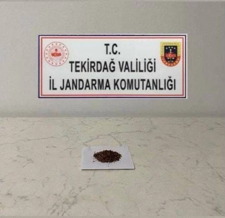 TEKİRDAĞ’DA UYUŞTURUCU OPERASYONLARI