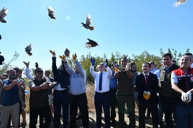 TEKİRDAĞ’DA 300 ADET ÇİL KEKLİK DOĞAYA SALINDI