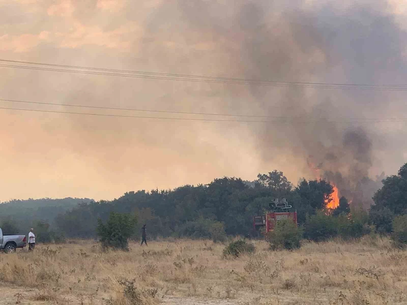 EDİRNE’DE ORMAN YANGINI ANIZLIK ALANA SIÇRADI: 2 BARAKA ZARAR GÖRDÜ