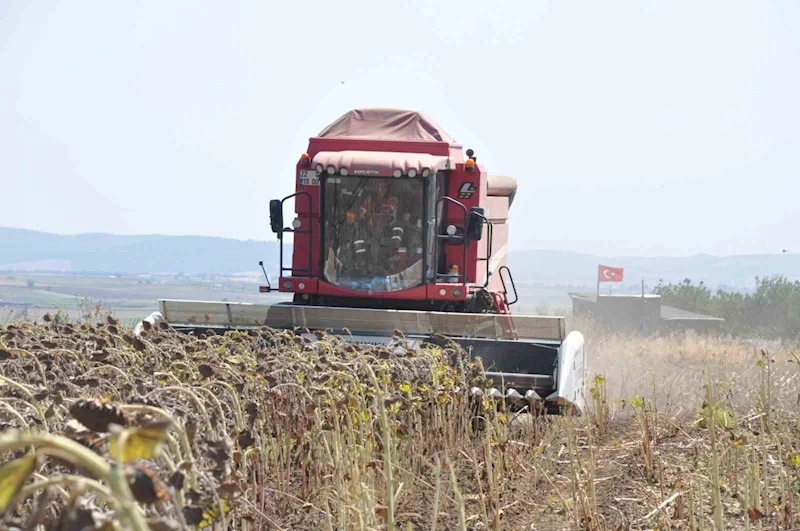 KEŞAN’DA AYÇİÇEĞİ HASADI BAŞLADI