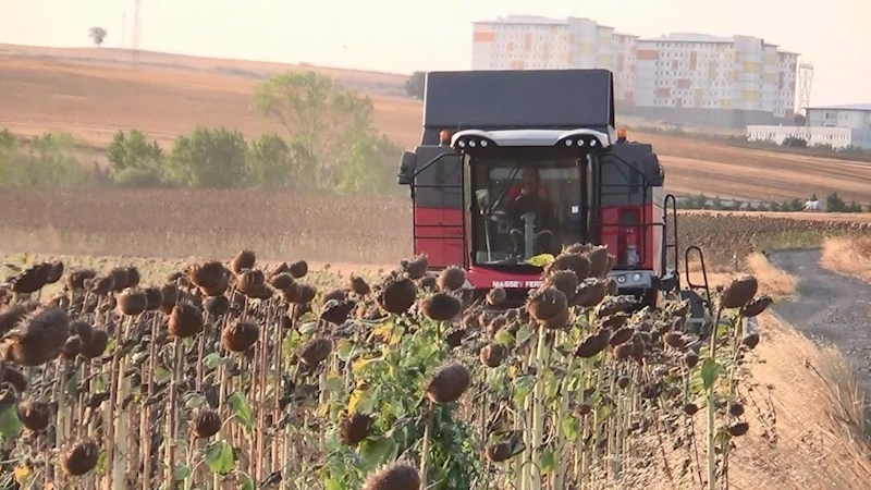 TRAKYA’NIN TOHUMU TÜM TÜRKİYE’Yİ BESLEYECEK