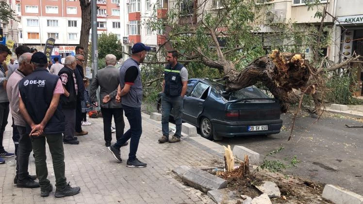 ÜZERİNE AĞAÇ DEVRİLEN OTOMOBİL HURDAYA DÖNDÜ 