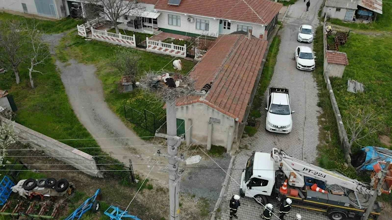 TERMAL KAMERALI DRONLAR ARACILIĞIYLA LEYLEK YUVALARINDA BAKIM BAŞLATILDI