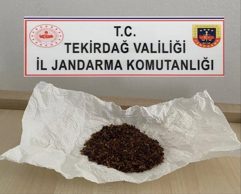 TEKİRDAĞ’DA JANDARMA OPERASYONLARI: UYUŞTURUCU VE SİLAH ELE GEÇİRİLDİ