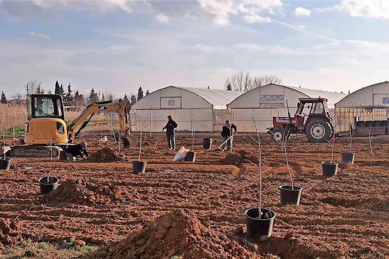 TEKİRDAĞ’DA 500 MEYVE FİDANI TOPRAKLA BULUŞUYOR