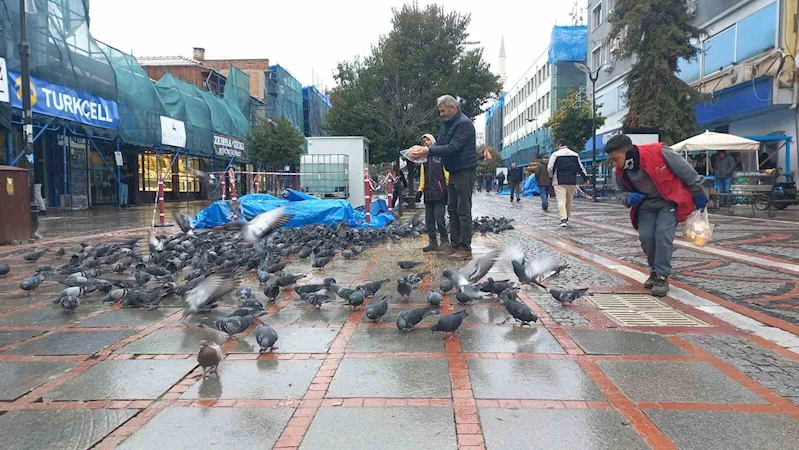 SOĞUKTA AÇ KALAN GÜVERCİNLERİN YARDIMINA YETİŞTİLER