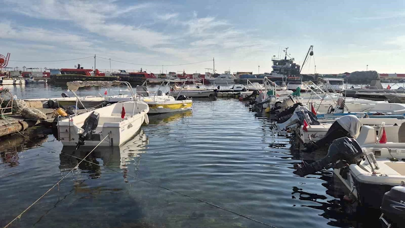 MARMARA DENİZİ’NDE MÜSİLAJ YENİDEN ORTAYA ÇIKTI