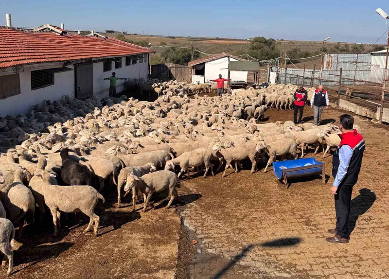 TARIM İL MÜDÜRÜ AKSOY ÜRETİCİNİN SORUNLARINI YERİNDE DİNLEDİ