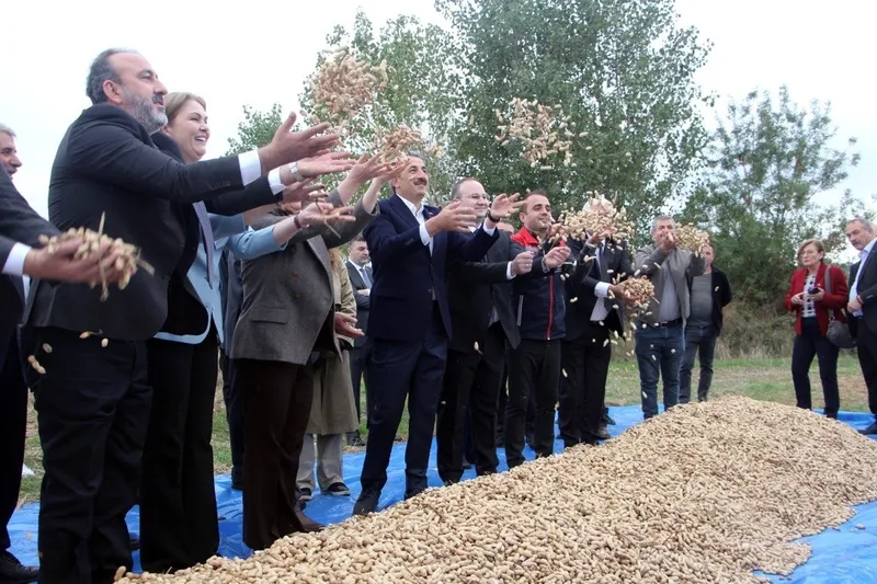 MERİÇ’TE FISTIK ŞENLİĞİ